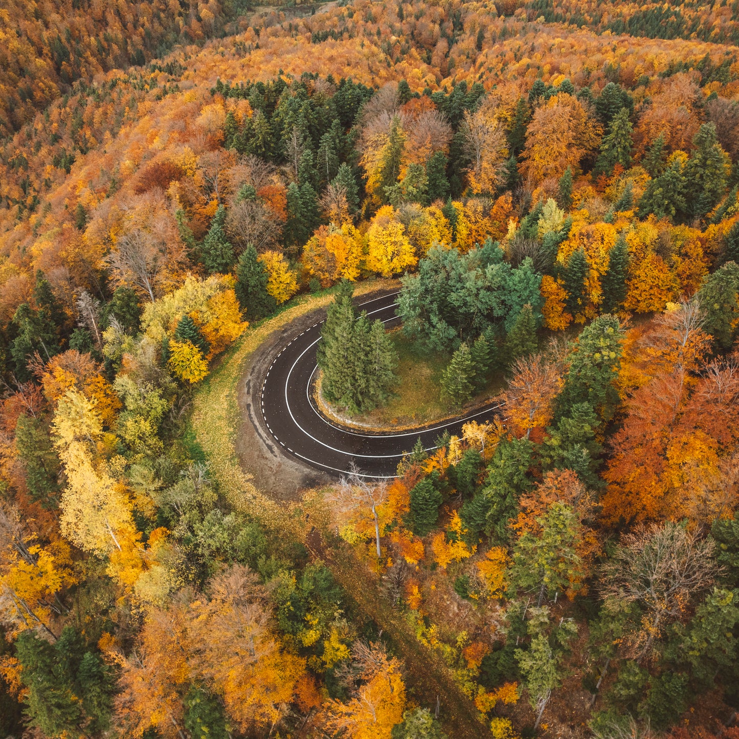 Romania Touring Guide